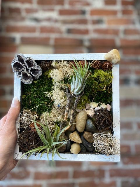 Live Wall Art Decoration