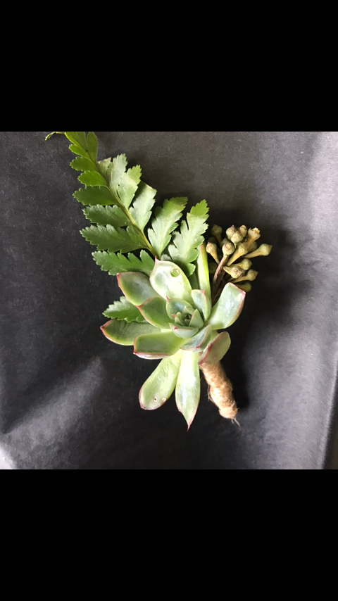 Succulent Boutonniere - Wild Little Roses