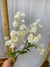 Blossom Spray