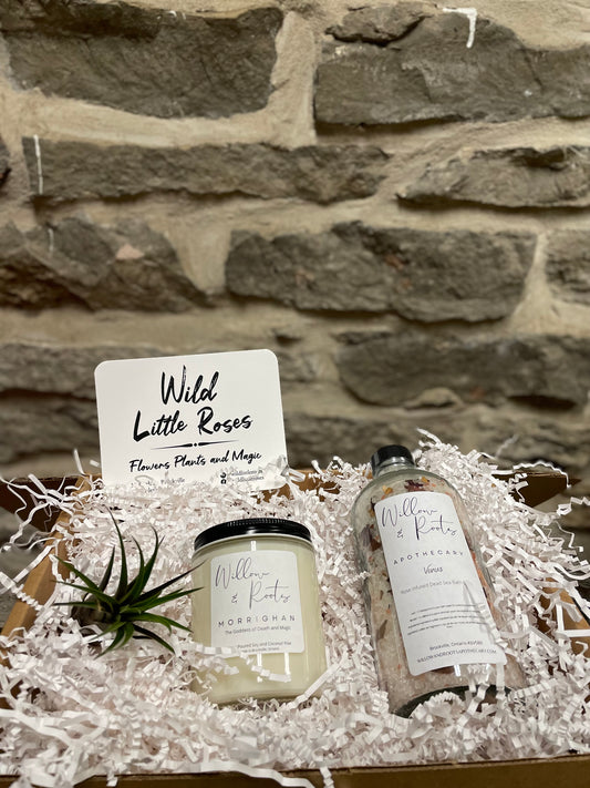 Willow & Roots Apothecary Box