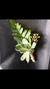 Succulent Boutonniere - Wild Little Roses