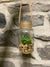 Hanging glass cactus jar
