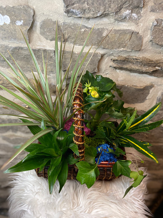 Assorted Tropical Basket