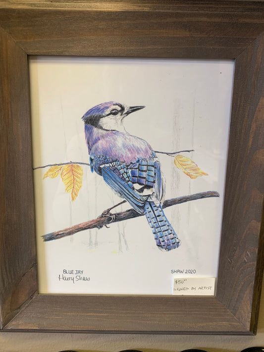 Print, Blue Jay - Wild Little Roses