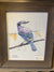 Print, Blue Jay - Wild Little Roses