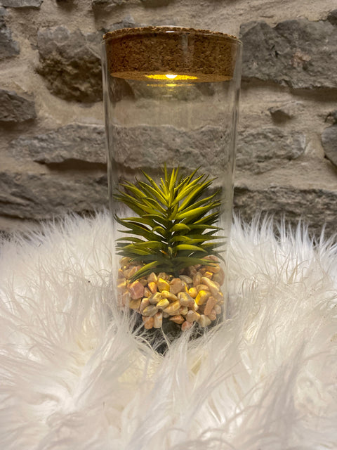 LED glass plant with cork top