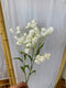 Blossom Spray