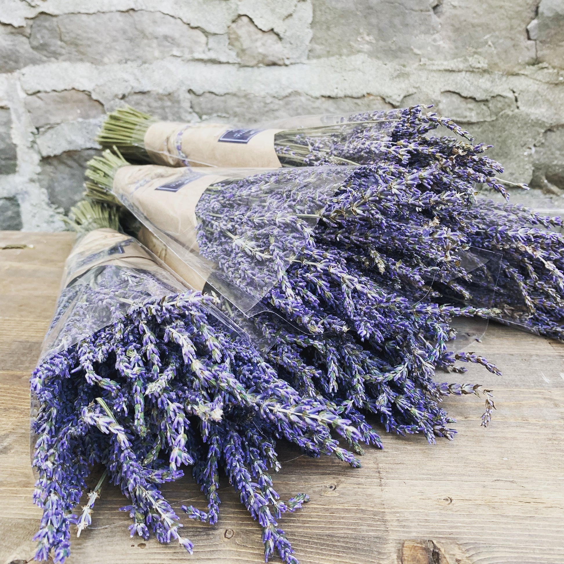 Dried Lavender - Wild Little Roses