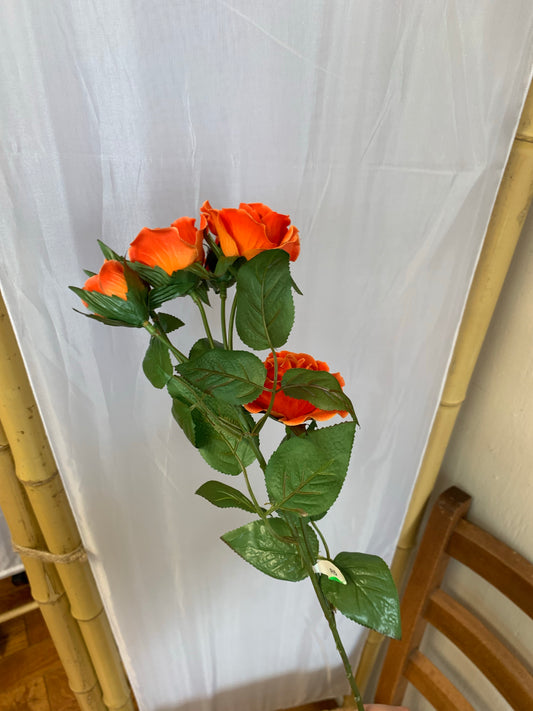 Spray Roses