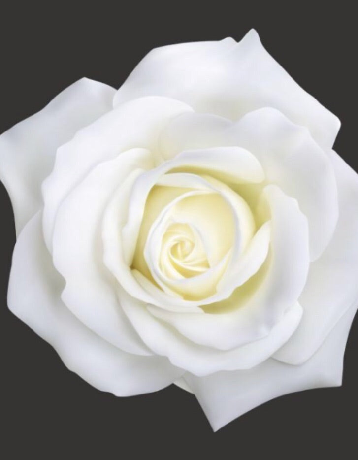 White Roses - Wild Little Roses