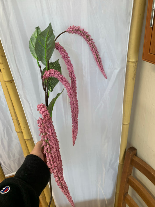 Tassel Flower