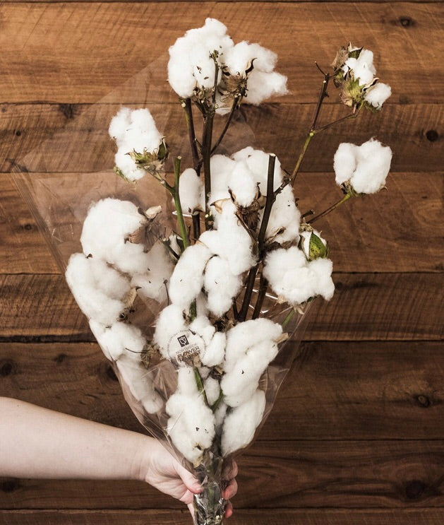 Stylish Cotton - Wild Little Roses